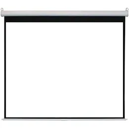 Projector screen (manual)